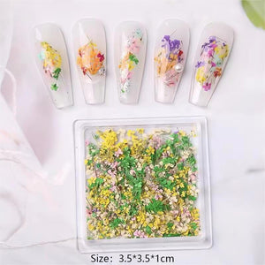 DIY Small Dried Flowers Nail Decoration Nail Decoration No Brand 02