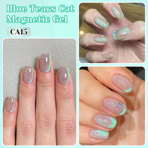 Cat Magnetic Gel Polish Fruit Series 10ml Clearance NICOLE DIARY