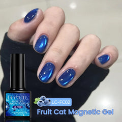 Fruit Cat Magnetic Gel Polish 7ml Gel Nail Polish LILYCUTE LC-FC02