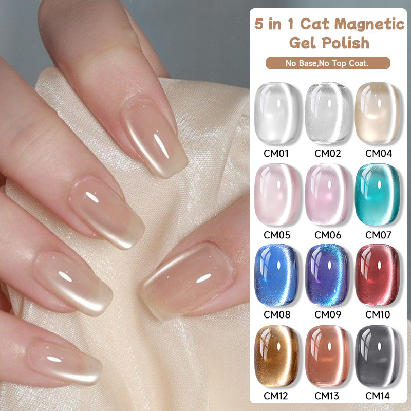 5 in 1 Cat Magnetic Gel 1 Step Gel 15ml
