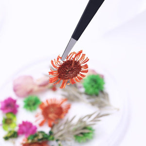 Black Straight Nail Tweezers Tools & Accessories No Brand