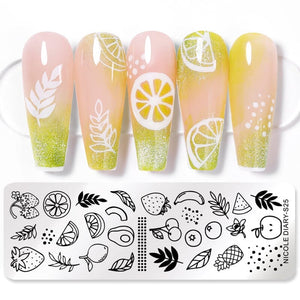Rectangle Nail Stamping Plates Stamping Nail BORN PRETTY S25 