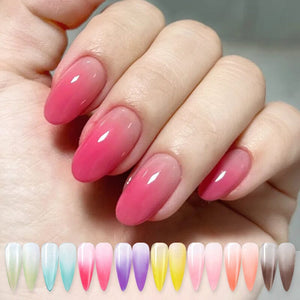 9 Grids Solid Ombre Nail Powder Nail Powder No Brand 