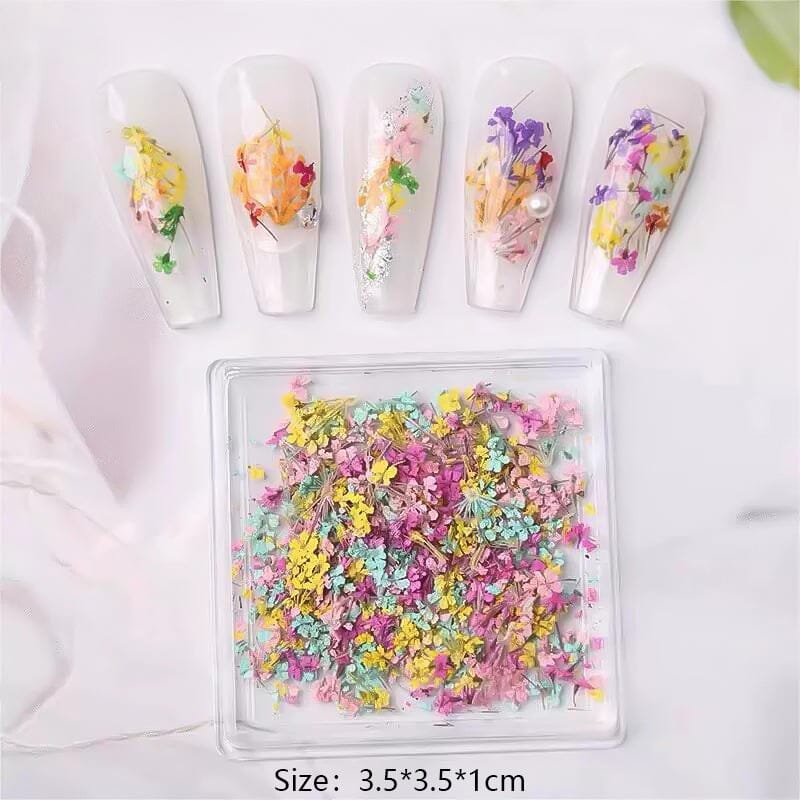 DIY Small Dried Flowers Nail Decoration Nail Decoration No Brand 05 
