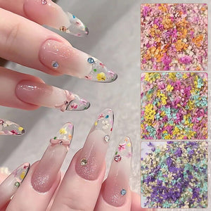 DIY Small Dried Flowers Nail Decoration Nail Decoration No Brand 