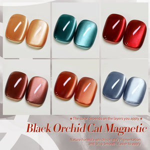 6 Colors Glass Cat Magnetic Gel Polish Set M41 Black Orchid 7ml Gel Nail Polish BORN PRETTY 