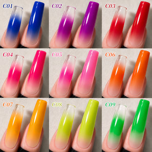 9 Colors Pat Painting Gel Prism Page Gel Nail Polish BORN PRETTY 